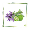 Parfümöl Christmas Tea 20 ml